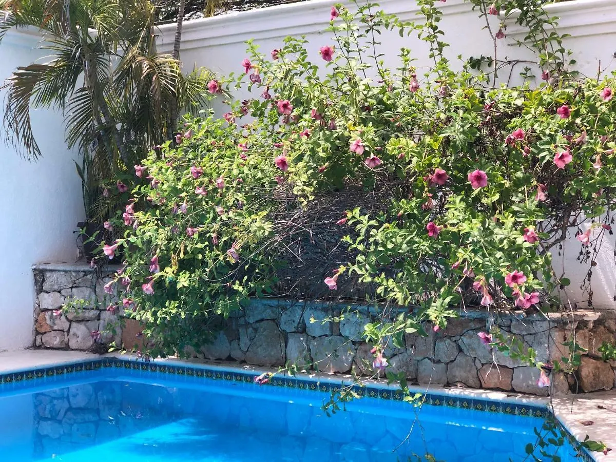 Casa Tuunich Hotel Merida Mexico